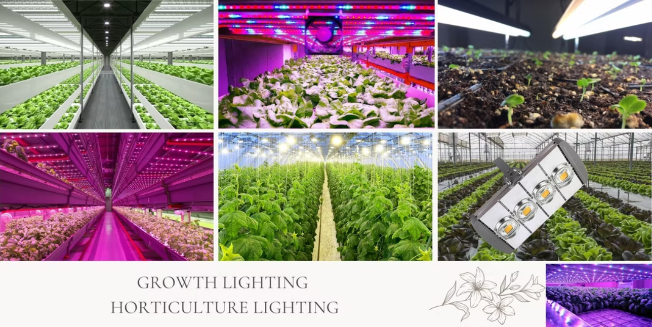 Full Spectrum LED Grow Lights for Plants – 3W High Power SMD LED